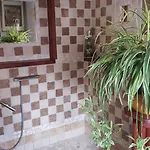 L'orchidee *