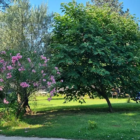 L'orchidée Séjour chez l'habitant Vallon-Pont-dʼArc
