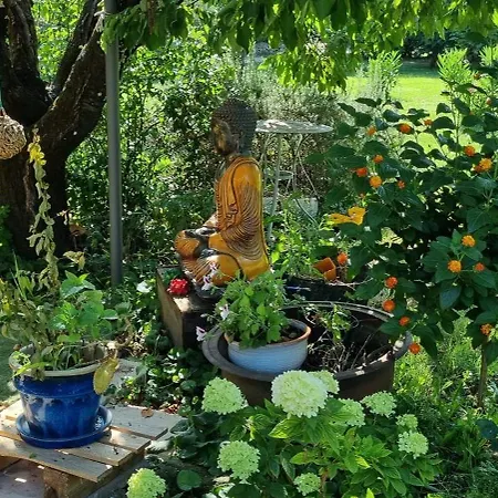 L'orchidée Séjour chez l'habitant *