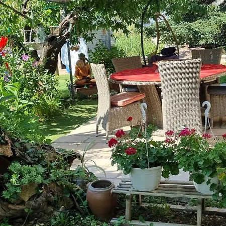 L'orchidée Séjour chez l'habitant Vallon-Pont-dʼArc
