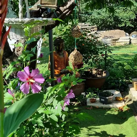 Séjour chez l'habitant L'orchidée Vallon-Pont-dʼArc