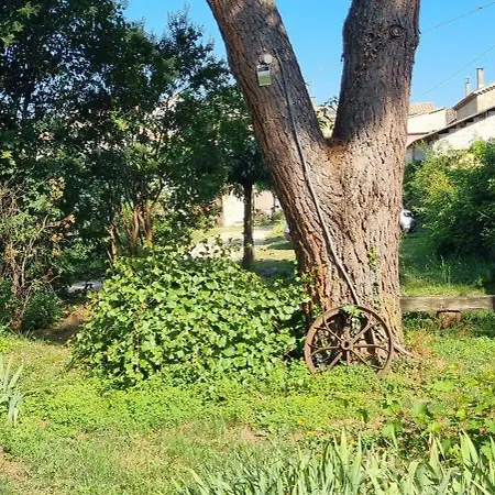 L'orchidée Séjour chez l'habitant *