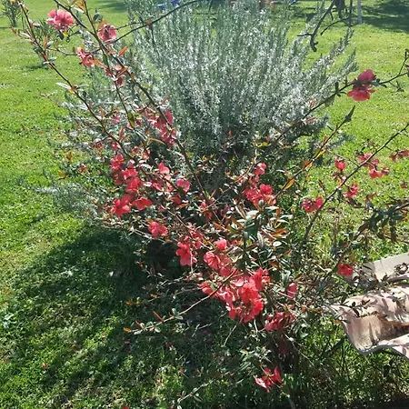 Séjour chez l'habitant L'orchidée